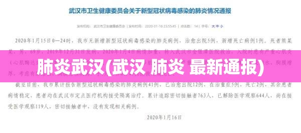 肺炎武汉(武汉 肺炎 最新通报)