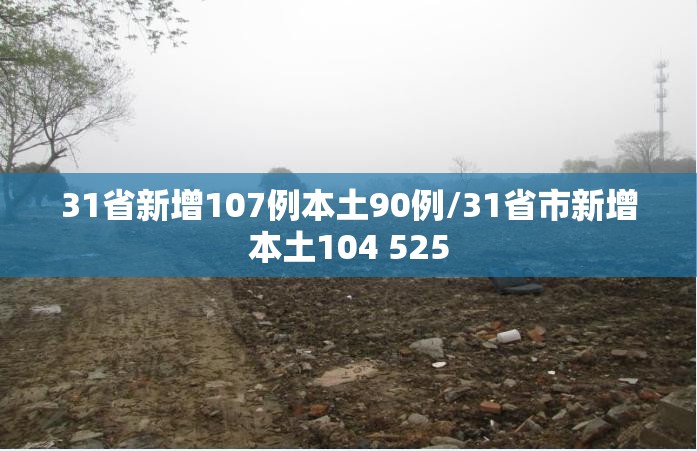 31省新增107例本土90例/31省市新增本土104 525 31省新增107例本土90例/31省市新增本土104 525