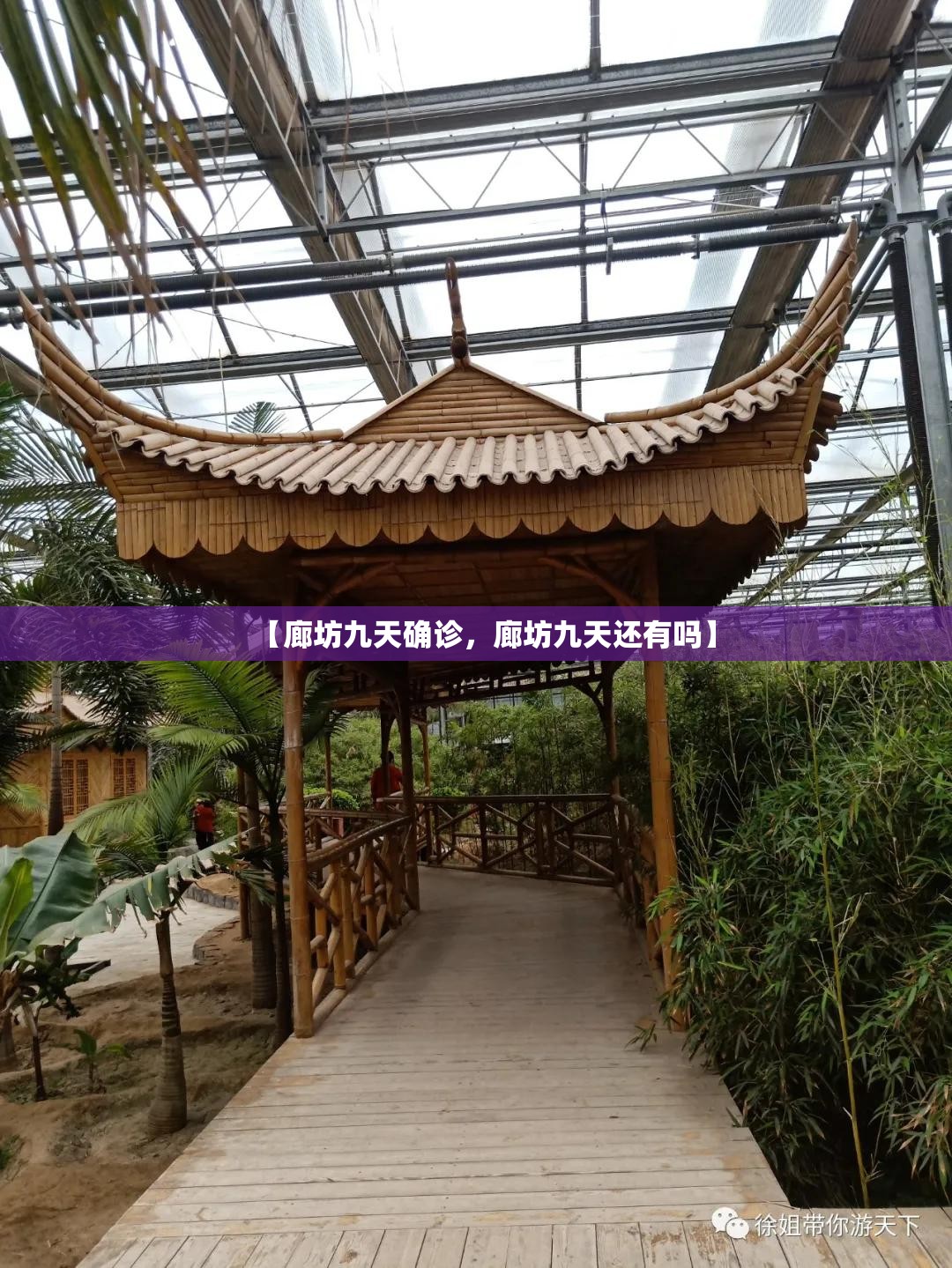 【廊坊九天确诊，廊坊九天还有吗】