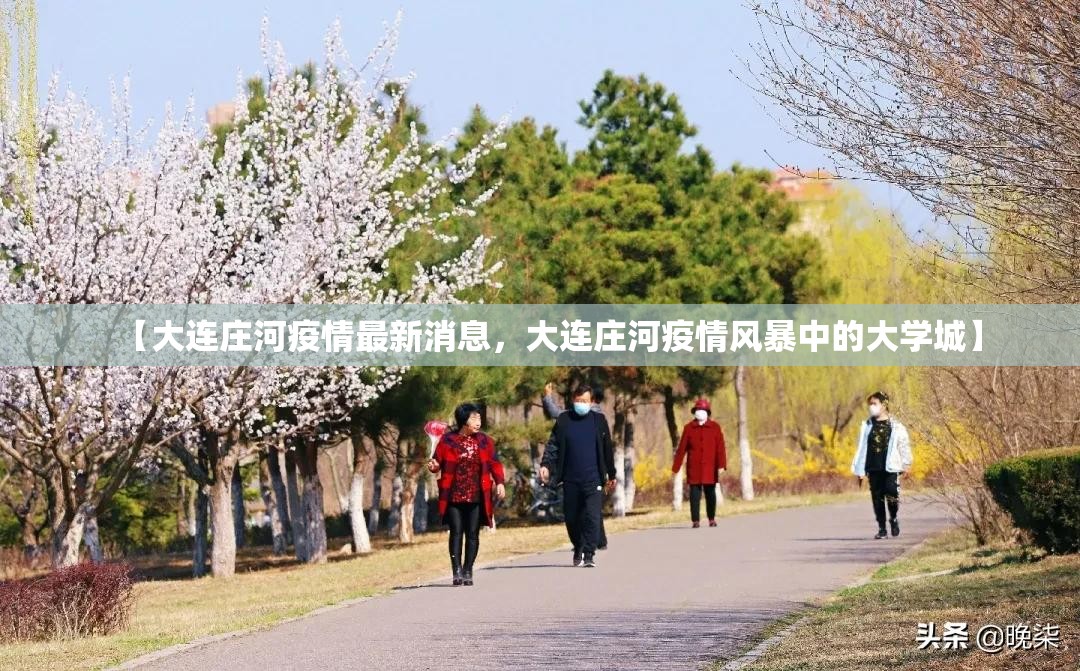 【大连庄河疫情最新消息，大连庄河疫情风暴中的大学城】