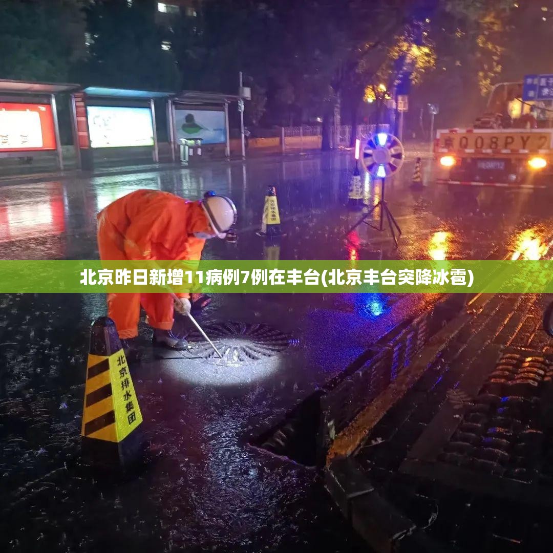 北京昨日新增11病例7例在丰台(北京丰台突降冰雹)