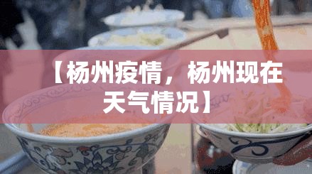 【杨州疫情，杨州现在天气情况】