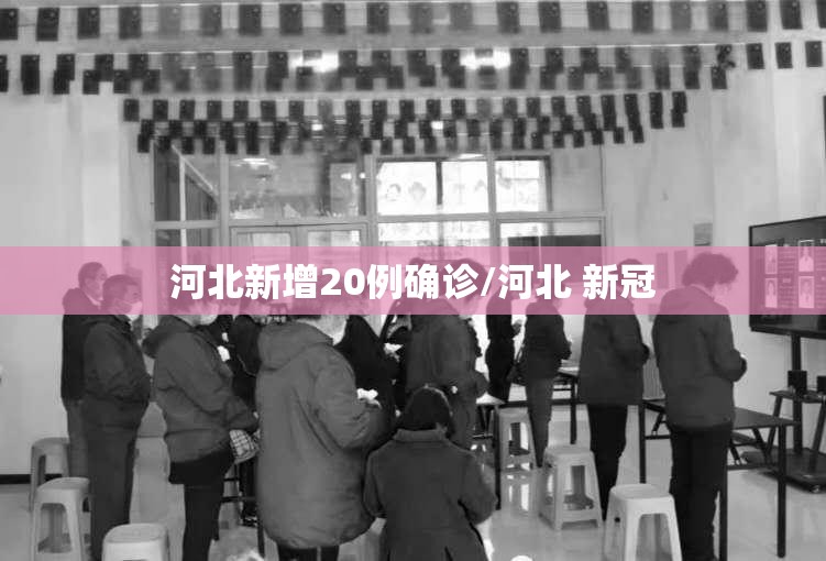 河北新增20例确诊/河北 新冠