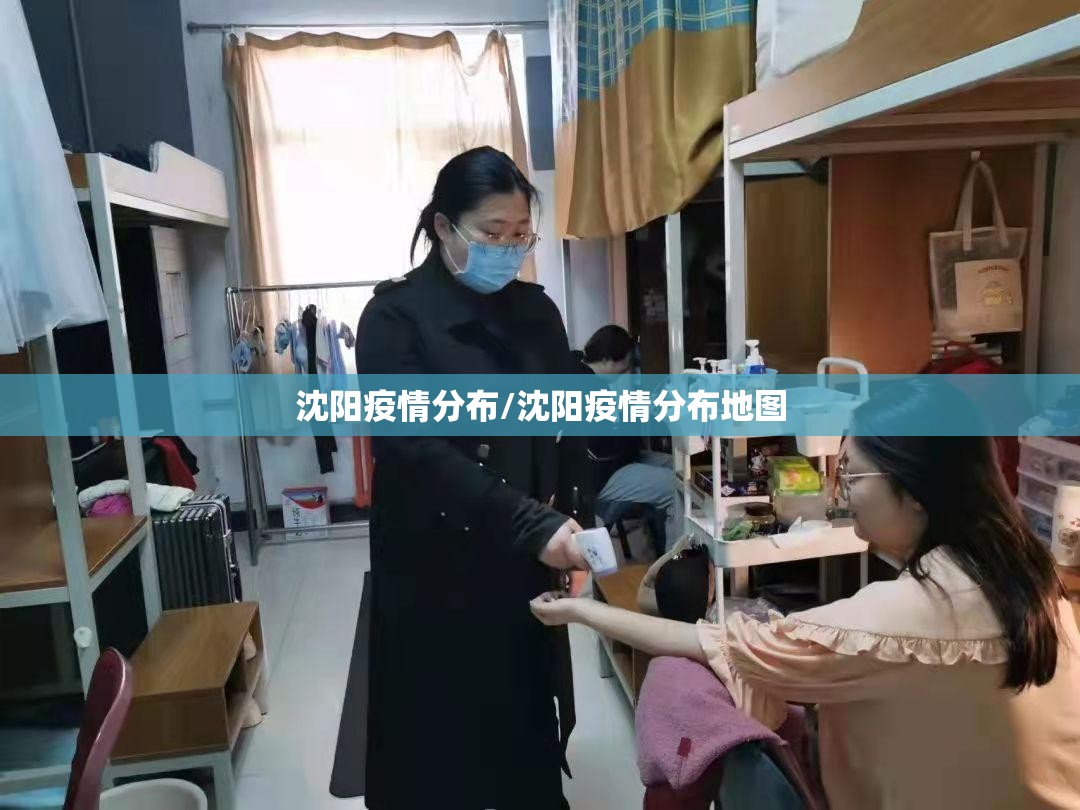沈阳疫情分布/沈阳疫情分布地图