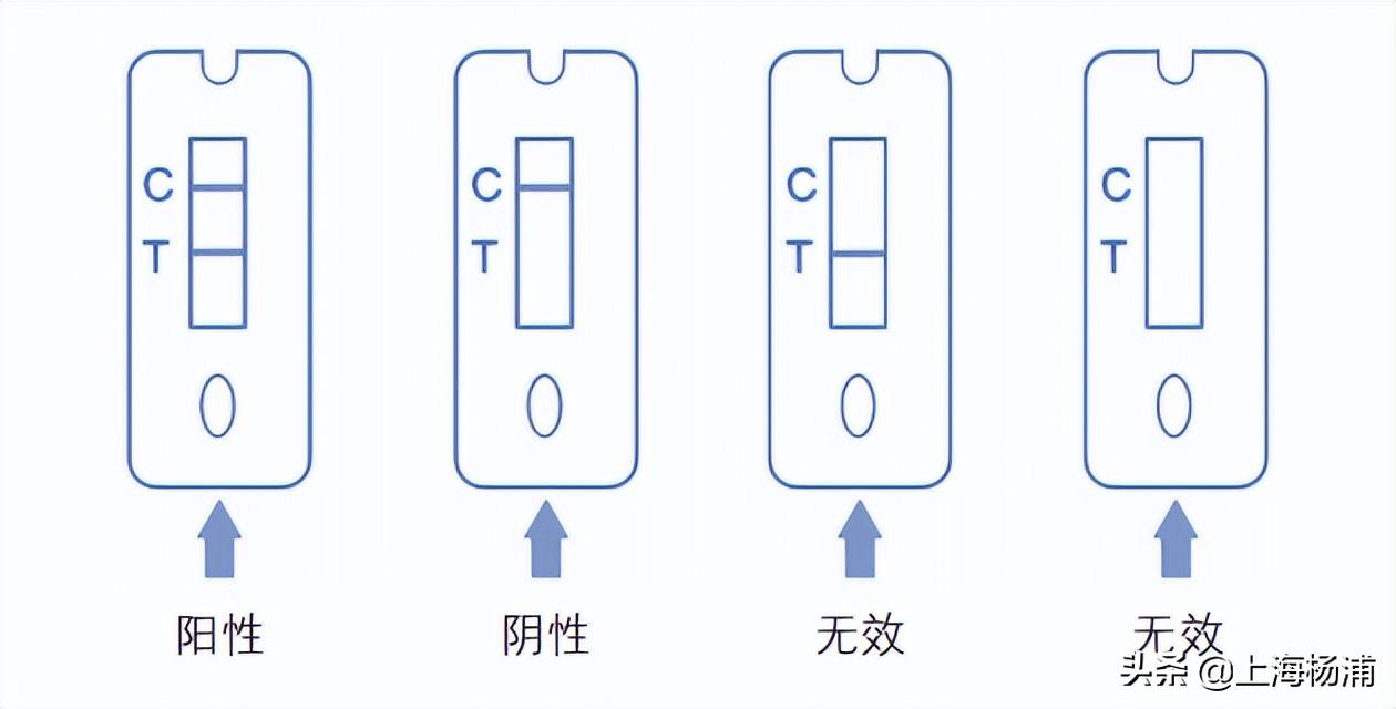 【阳性阴性分别是什么意思,阴性阳性是什么意思哪个好】 【阳性阴性分别是什么意思,阴性阳性是什么意思哪个好】