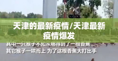 天津的最新疫情/天津最新疫情爆发