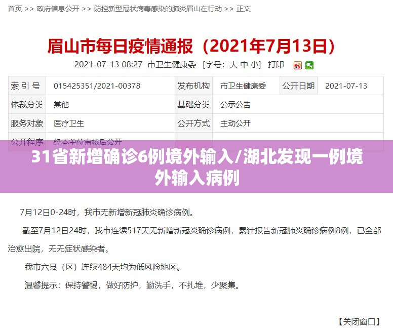 31省新增确诊6例境外输入/湖北发现一例境外输入病例