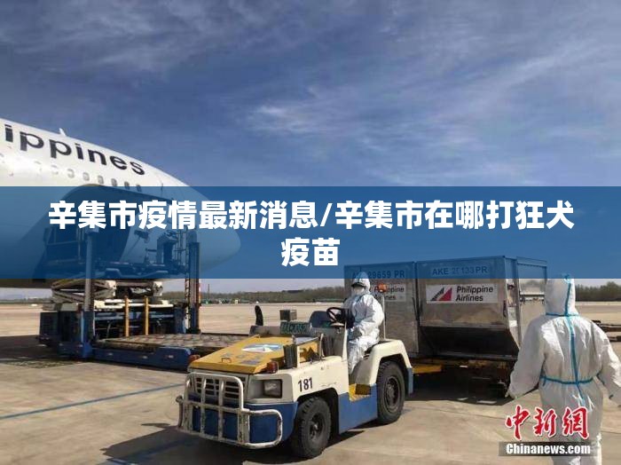 辛集市疫情最新消息/辛集市在哪打狂犬疫苗