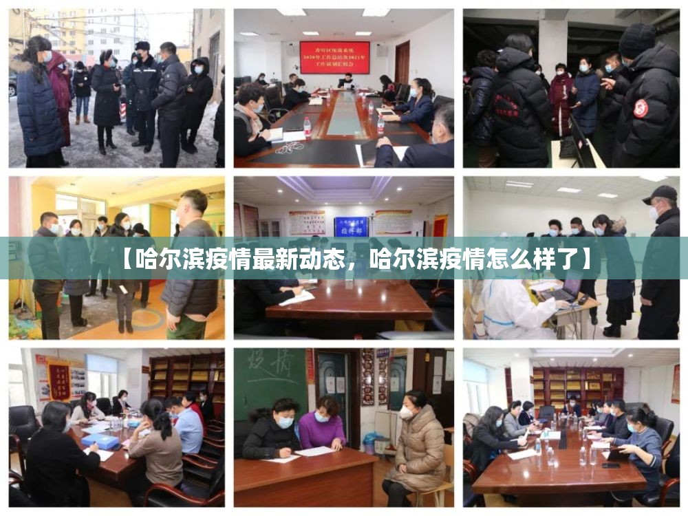 【哈尔滨疫情最新动态，哈尔滨疫情怎么样了】