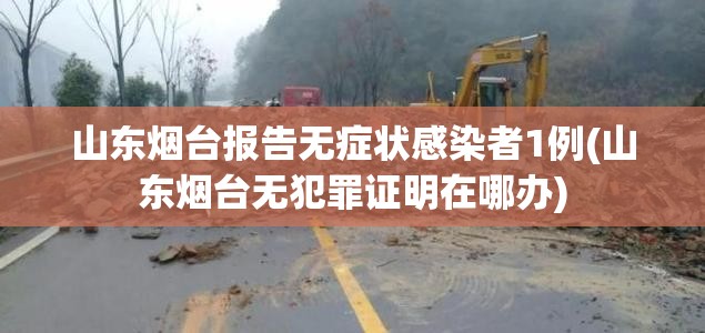 山东烟台报告无症状感染者1例(山东烟台无犯罪证明在哪办)