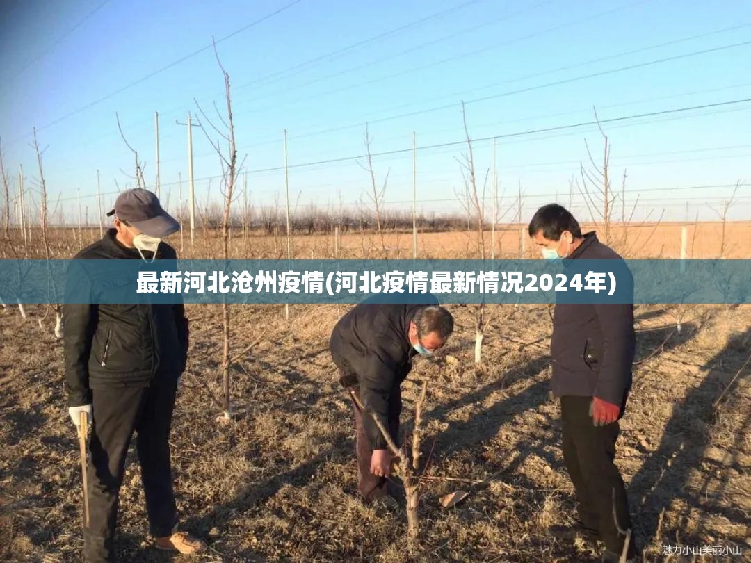 最新河北沧州疫情(河北疫情最新情况2024年)