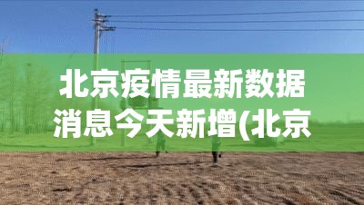 北京疫情最新数据消息今天新增(北京近期新疫情又来了吗)