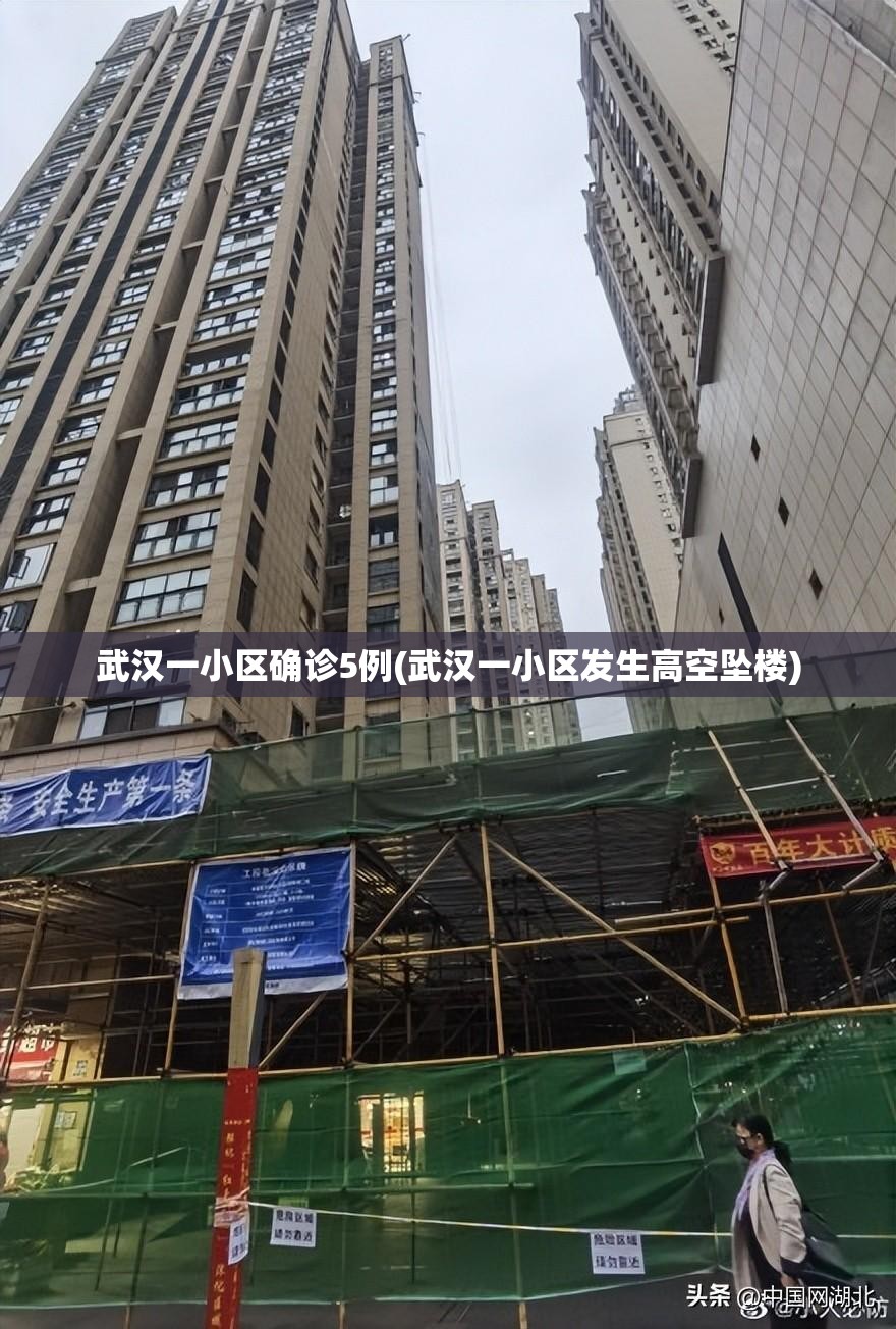 武汉一小区确诊5例(武汉一小区发生高空坠楼)
