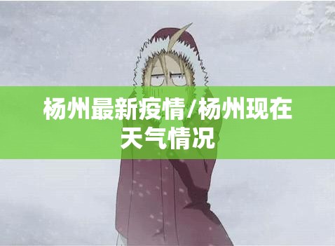 杨州最新疫情/杨州现在天气情况