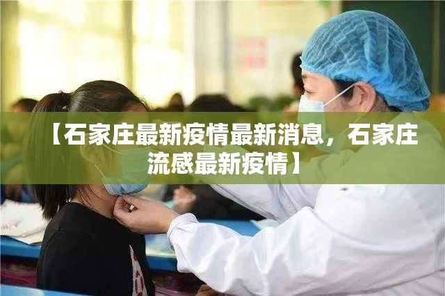 【石家庄最新疫情最新消息，石家庄流感最新疫情】