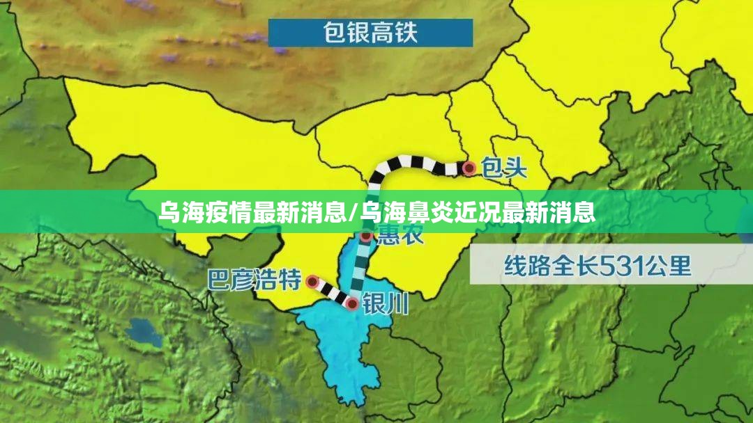 乌海疫情最新消息/乌海鼻炎近况最新消息