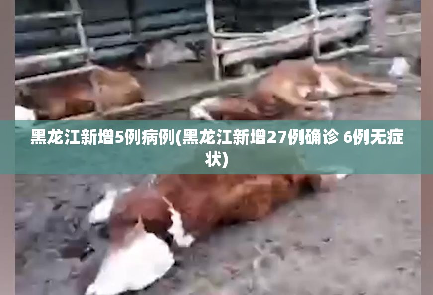 黑龙江新增5例病例(黑龙江新增27例确诊 6例无症状)