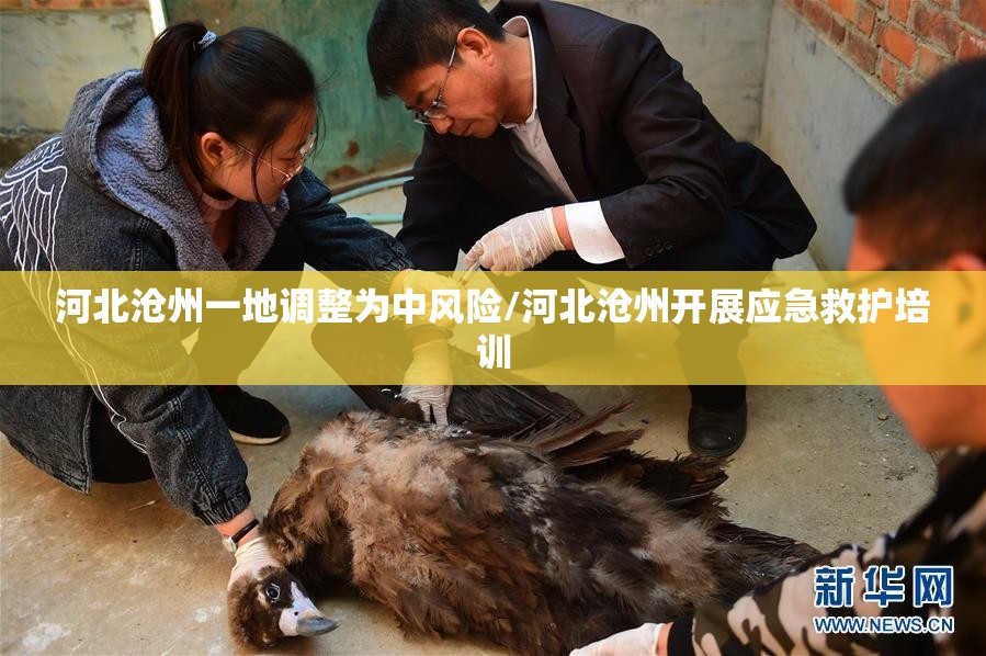 河北沧州一地调整为中风险/河北沧州开展应急救护培训