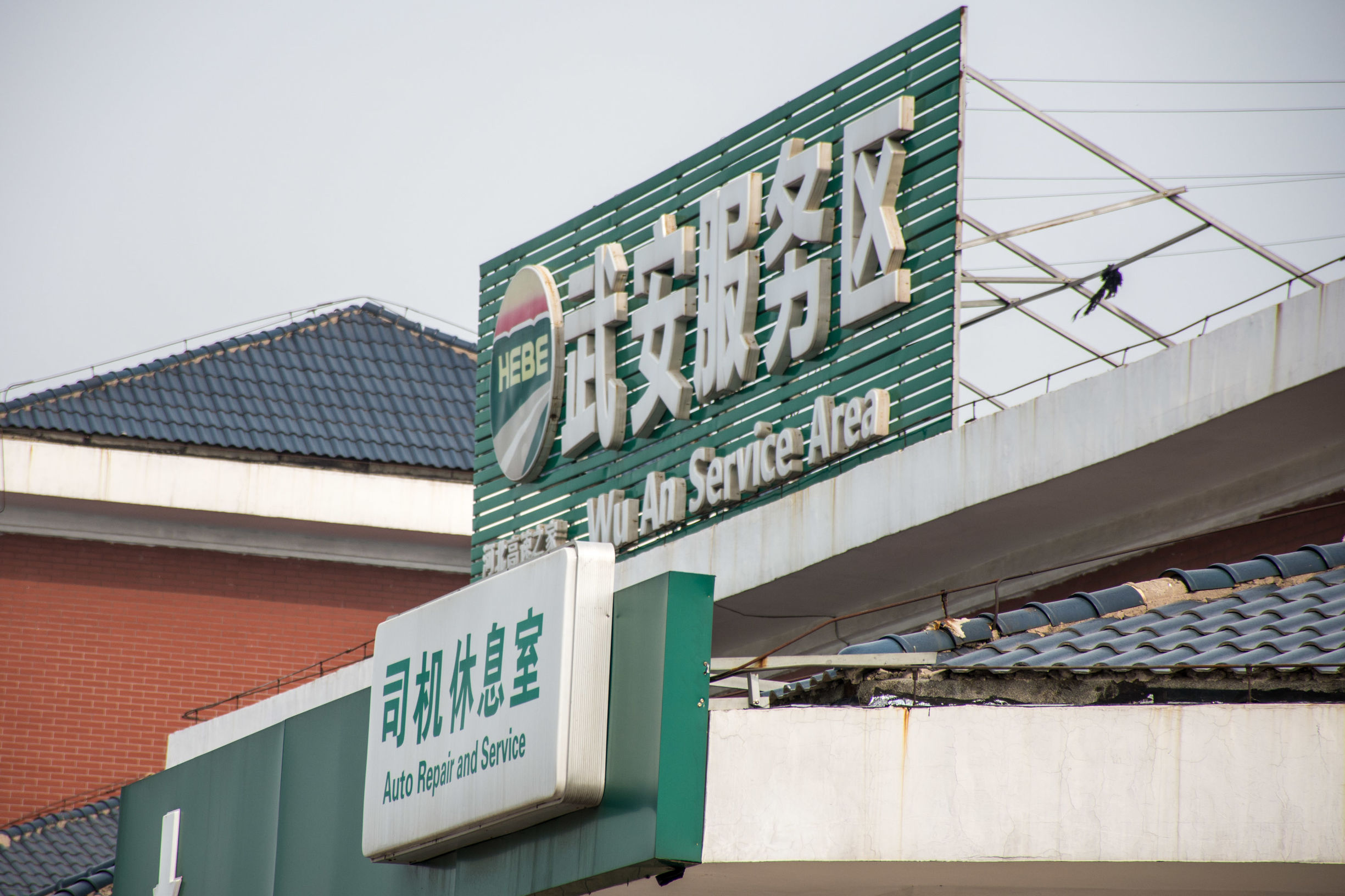 【高速服务区现10例阳性，高速服务区有退烧药吗】