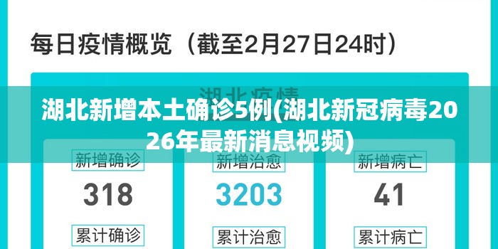 湖北新增本土确诊5例(湖北新冠病毒2026年最新消息视频)