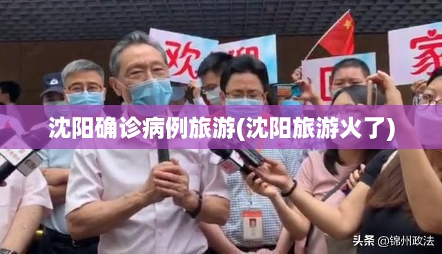 沈阳确诊病例旅游(沈阳旅游火了)