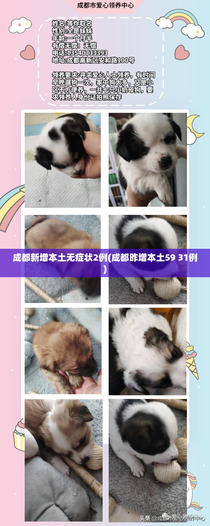 成都新增本土无症状2例(成都昨增本土59 31例)