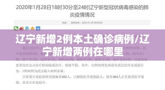 辽宁新增2例本土确诊病例/辽宁新增两例在哪里