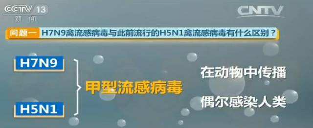 【h3n8,H3N8病毒传播方式】 【h3n8,H3N8病毒传播方式】