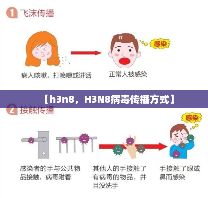 【h3n8，H3N8病毒传播方式】