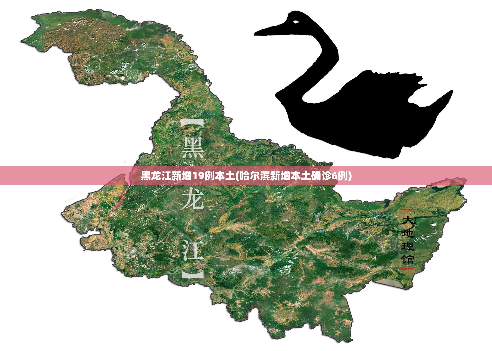 黑龙江新增19例本土(哈尔滨新增本土确诊6例)