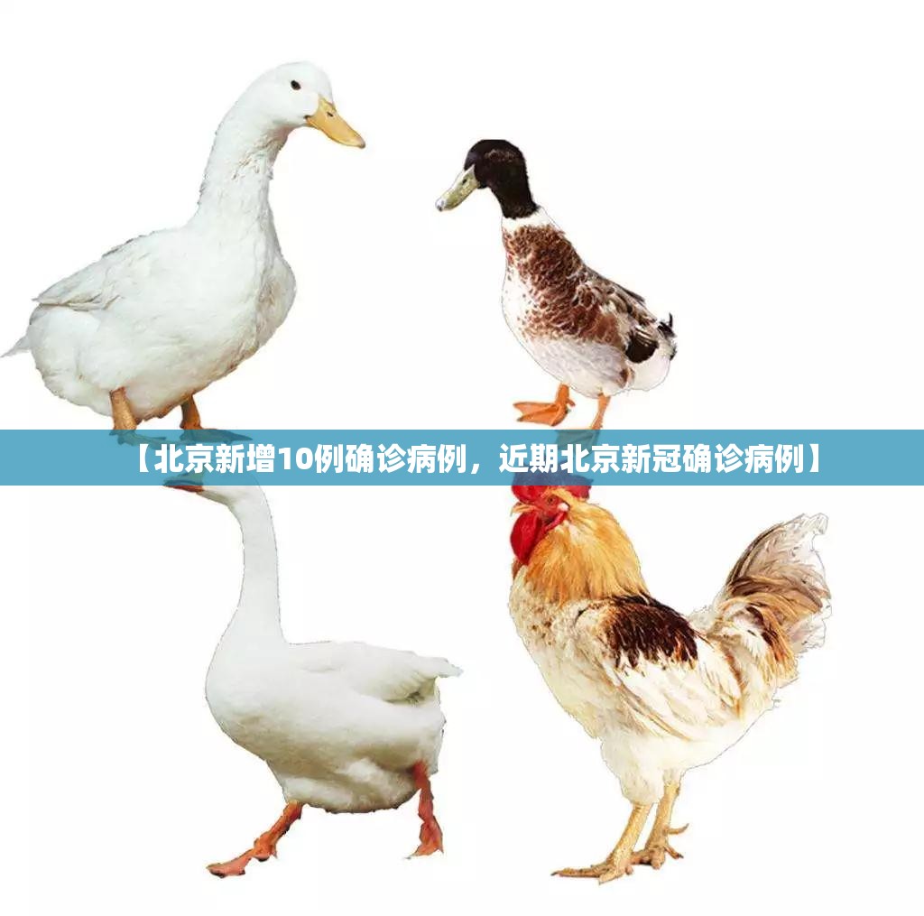 【北京新增10例确诊病例，近期北京新冠确诊病例】