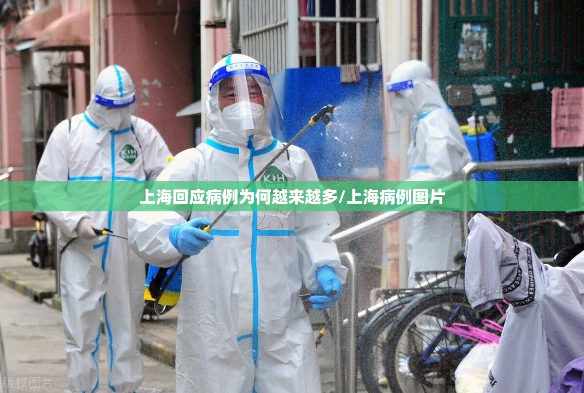 上海回应病例为何越来越多/上海病例图片