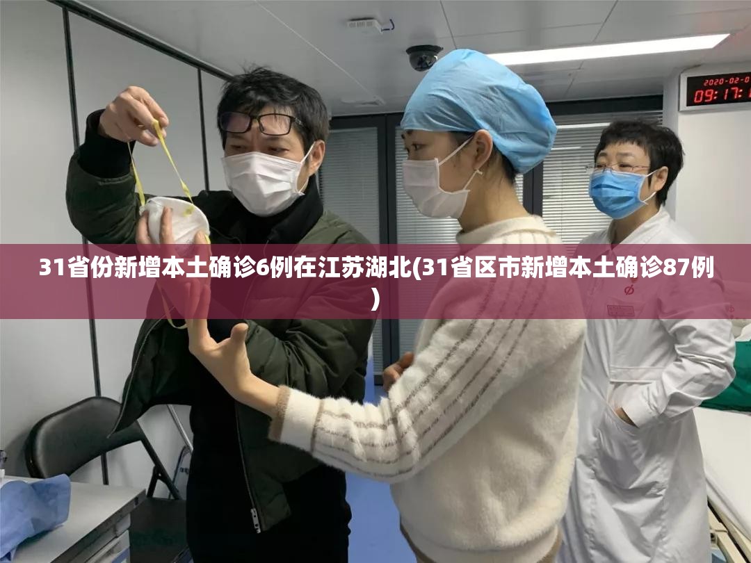 31省份新增本土确诊6例在江苏湖北(31省区市新增本土确诊87例)