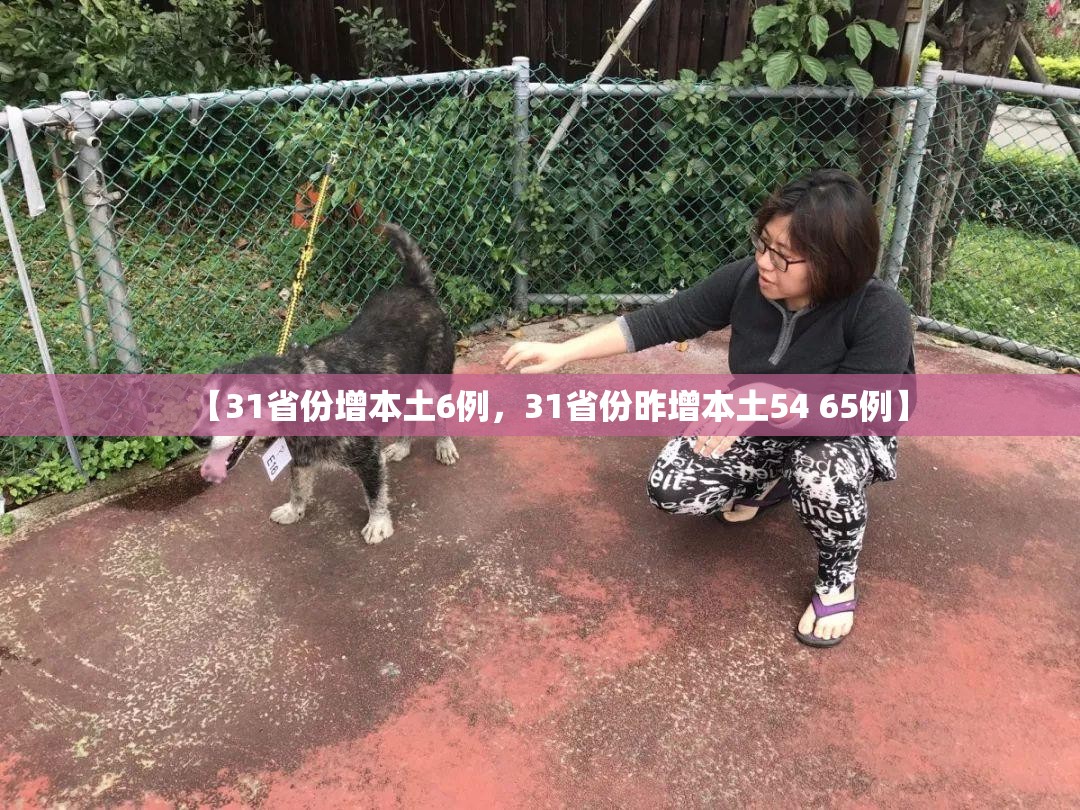 【31省份增本土6例，31省份昨增本土54 65例】