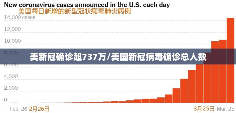 美新冠确诊超737万/美国新冠病毒确诊总人数