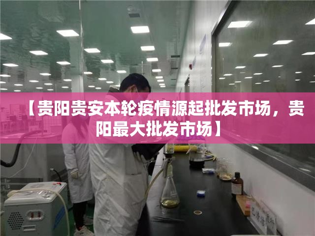【贵阳贵安本轮疫情源起批发市场，贵阳最大批发市场】