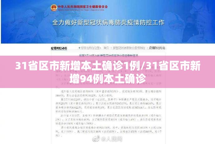 31省区市新增本土确诊1例/31省区市新增94例本土确诊