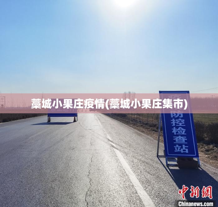 藁城小果庄疫情(藁城小果庄集市)