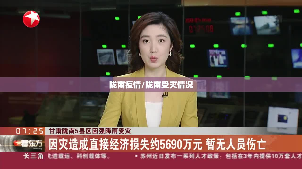 陇南疫情/陇南受灾情况
