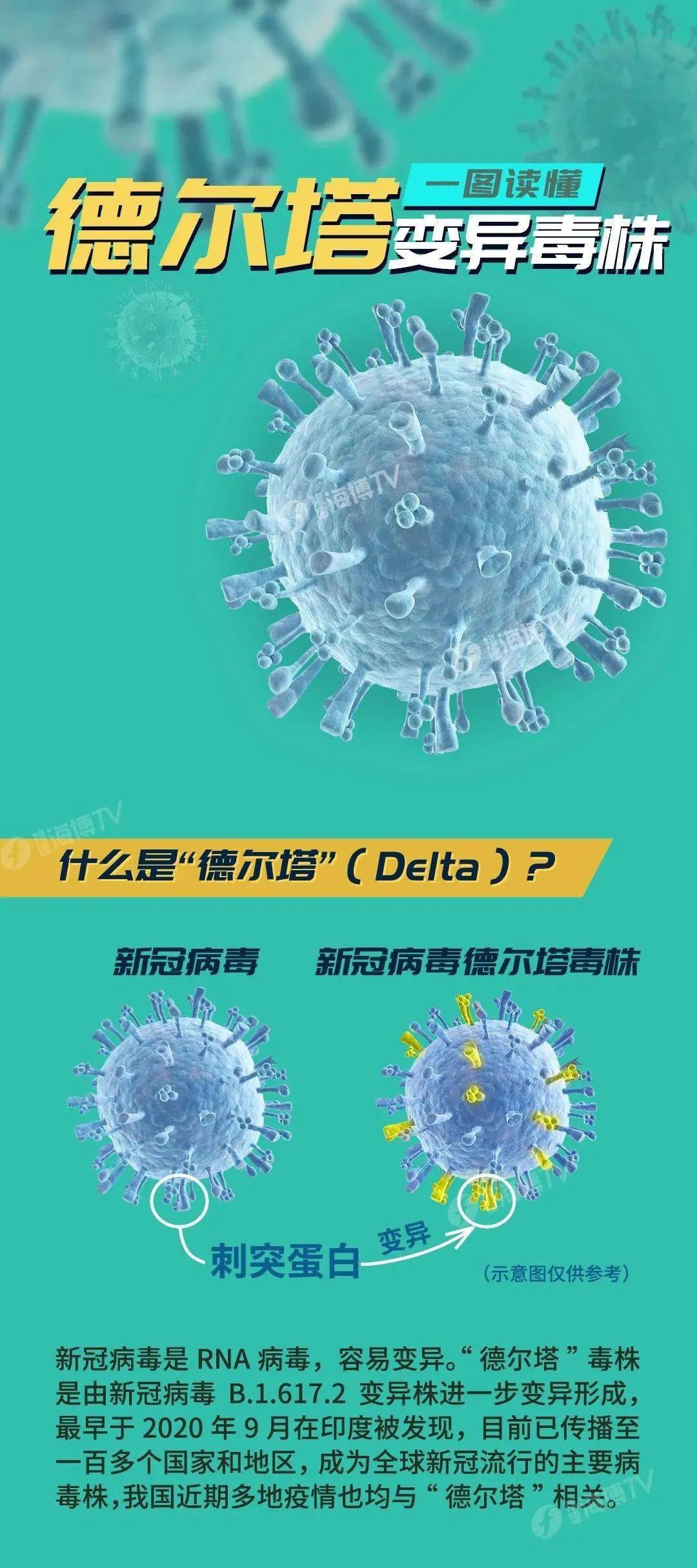 【德尔塔毒株可能卷土重来，德尔塔毒株阿尔法】