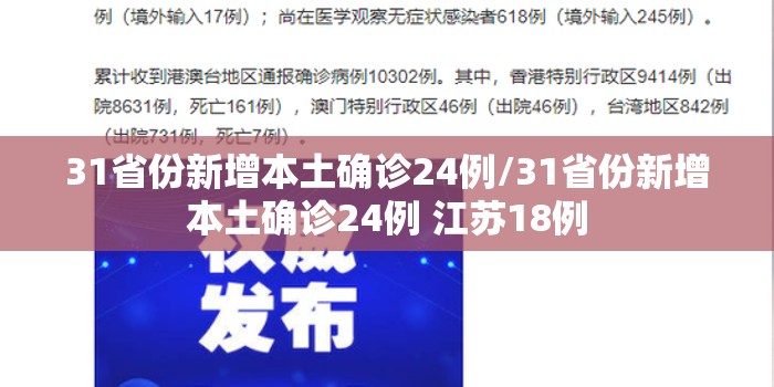 31省份新增本土确诊24例/31省份新增本土确诊24例 江苏18例