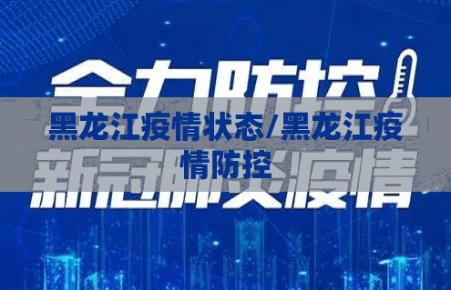 黑龙江疫情状态/黑龙江疫情防控