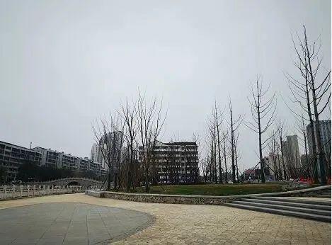 中高风险地区最新名单实时查询(中国公布高风险国家名单)