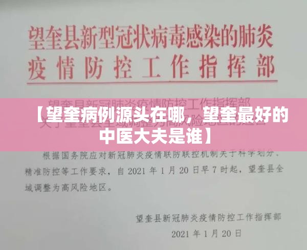 【望奎病例源头在哪，望奎最好的中医大夫是谁】