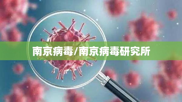 南京病毒/南京病毒研究所