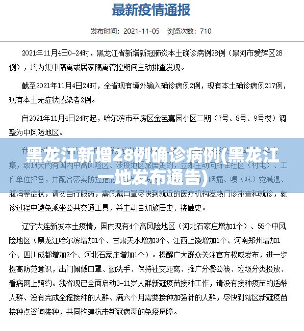 黑龙江新增28例确诊病例(黑龙江一地发布通告)